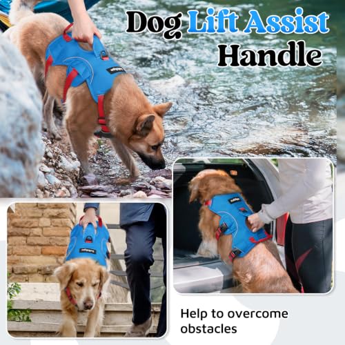 Escape Proof Dog Harness for Large (Red & Blue / Large)