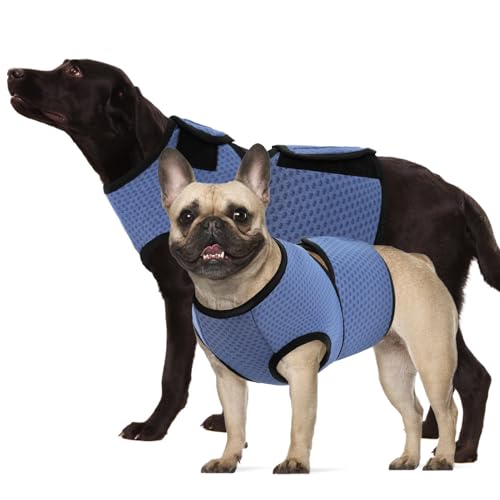Dog Anxiety Calming Vest (Blue / X-Small)