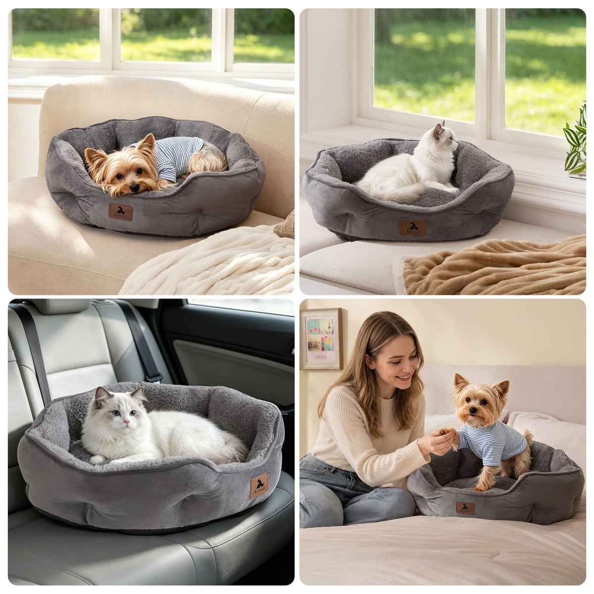 Small Dog Bed for Small Dogs (Small (Pack of 1) / Grey)