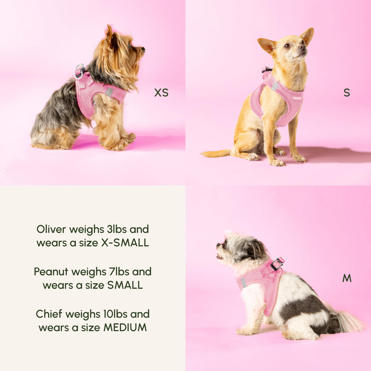 Step in Dog Harness for Large Dogs (Small / Tangerine)
