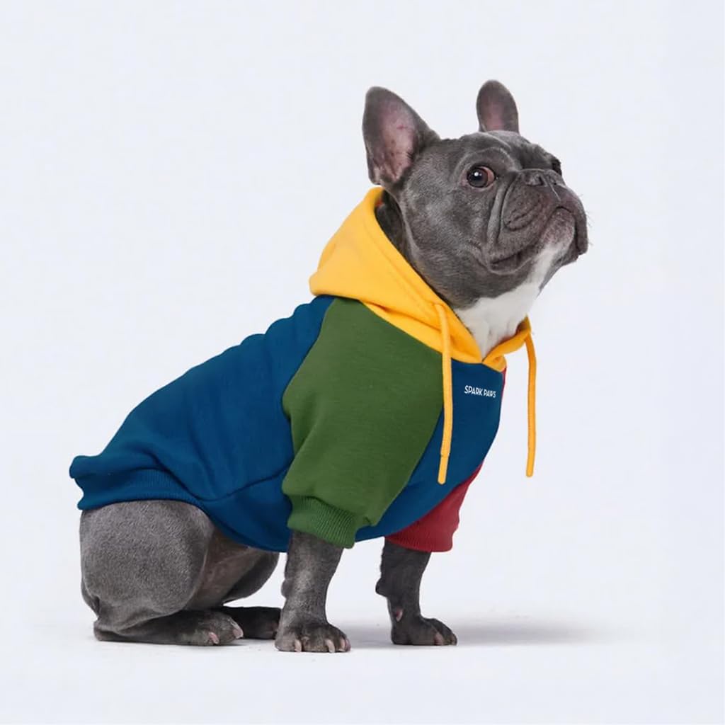 Dog Hoodie Buttery (Primary Color Block / X-Large)