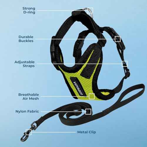 Voyager Step in Lock Cat Harness & Leash Set (Lime Green/Black Trim / XS (Chest: 13 - 16"))