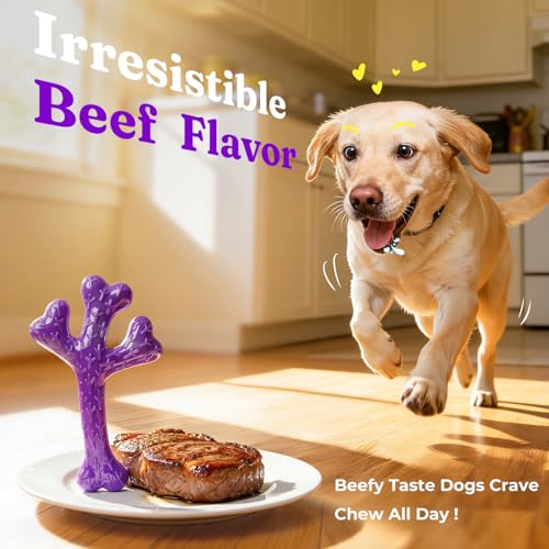 2 Pack Tough Dog Chew Toys for Aggressive Chewers (Green & Purple-2-Pack)