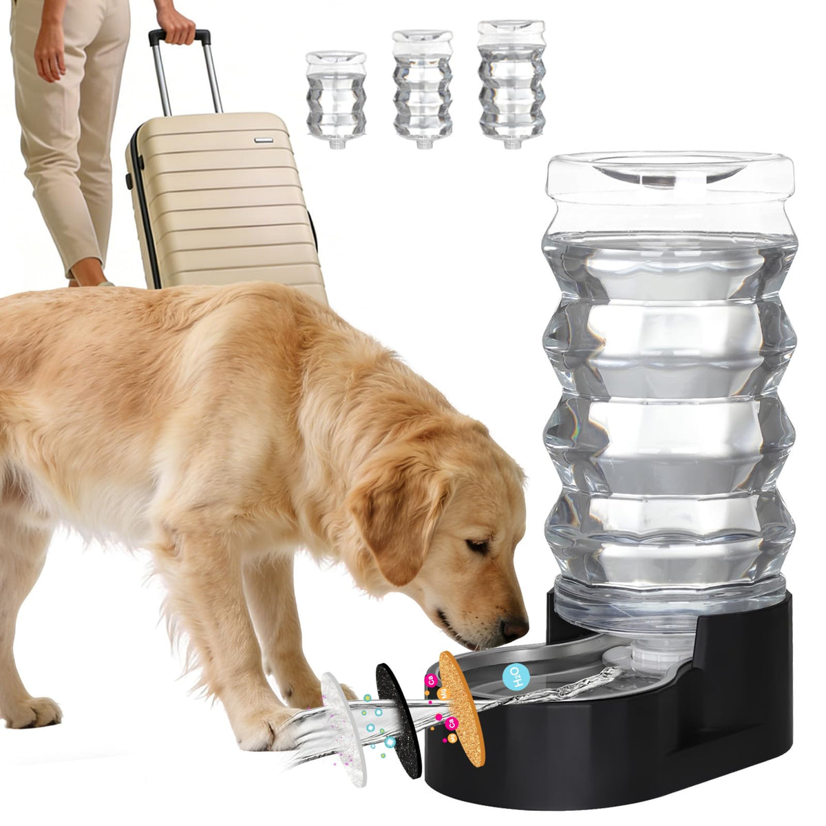 9L Filtered Dog Water Dispenser (Pure Black / 9L)