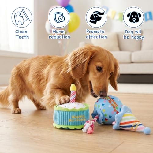 Squeaky Hide and Seek Dog Toys for Small and Medium Dogs (Birthday Set)