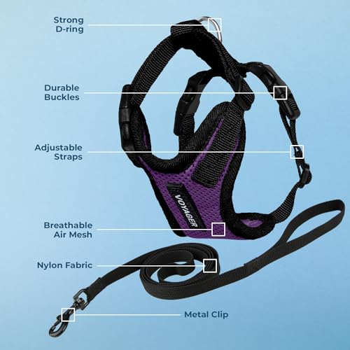 Voyager Step in Lock Cat Harness & Leash Set (Purple/Black Trim / XS (Chest: 13 - 16"))