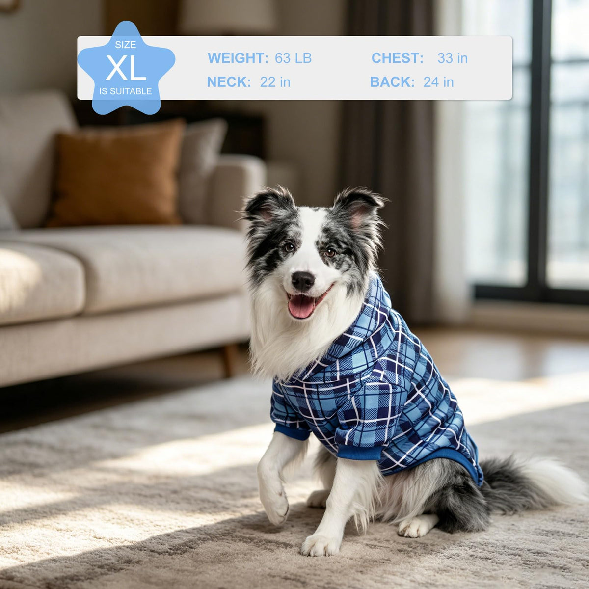 Plaid Dog Hoodie (Blue / X-Large)
