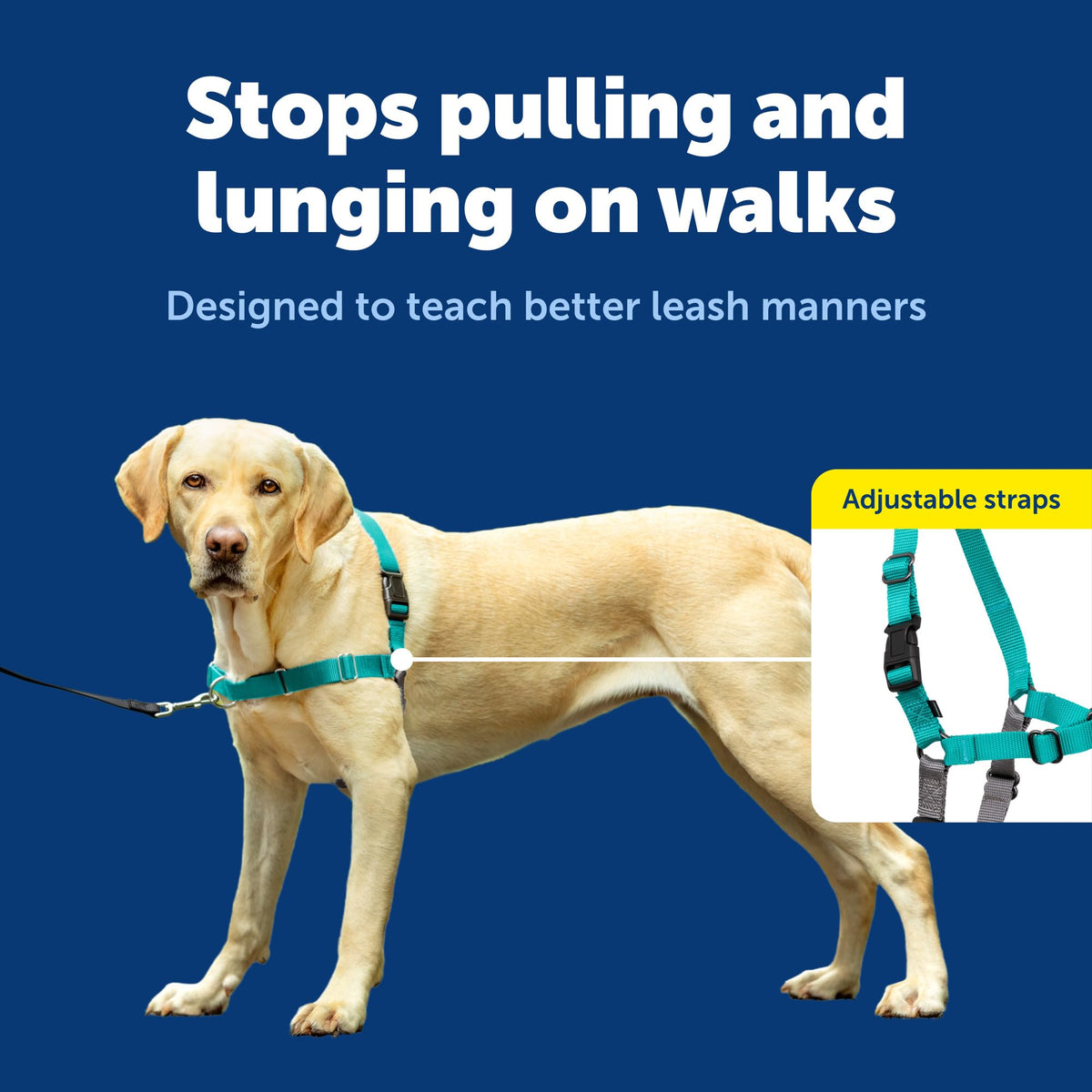 Easy Walk Harness (Large / Teal/Gray)