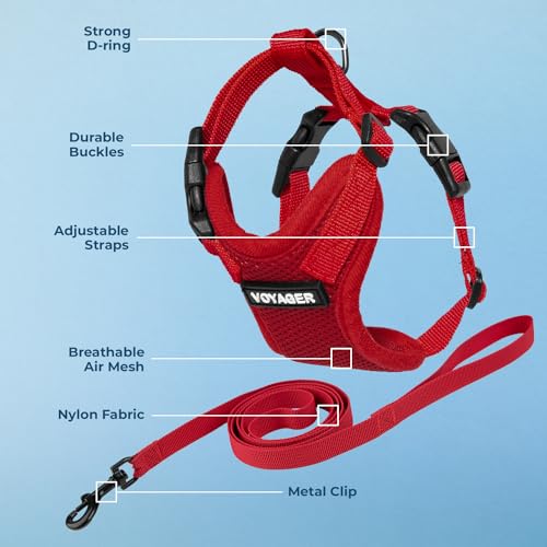 Voyager Step in Lock Cat Harness & Leash Set (Red / XS (Chest: 13 - 16"))