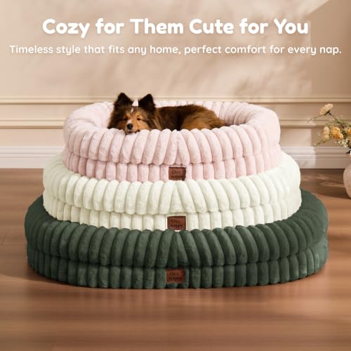 Orthopedic Dog Bed (Olive Green / L(35*28*7))