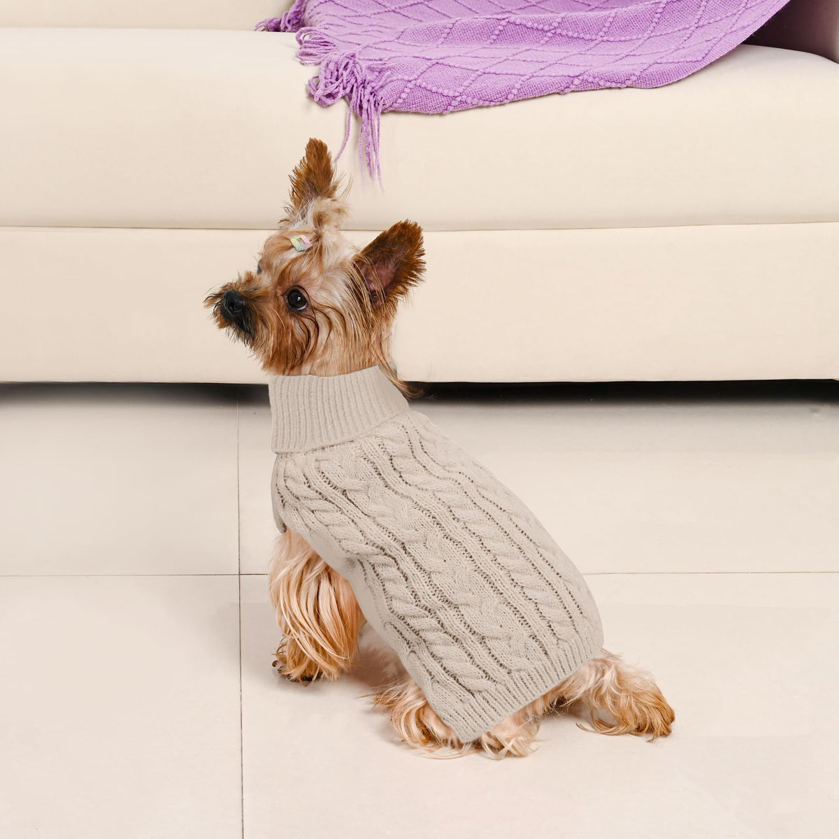 Dog Sweater 2 Pack for Small Dogs (Oatmeal & Brown / X-Small)