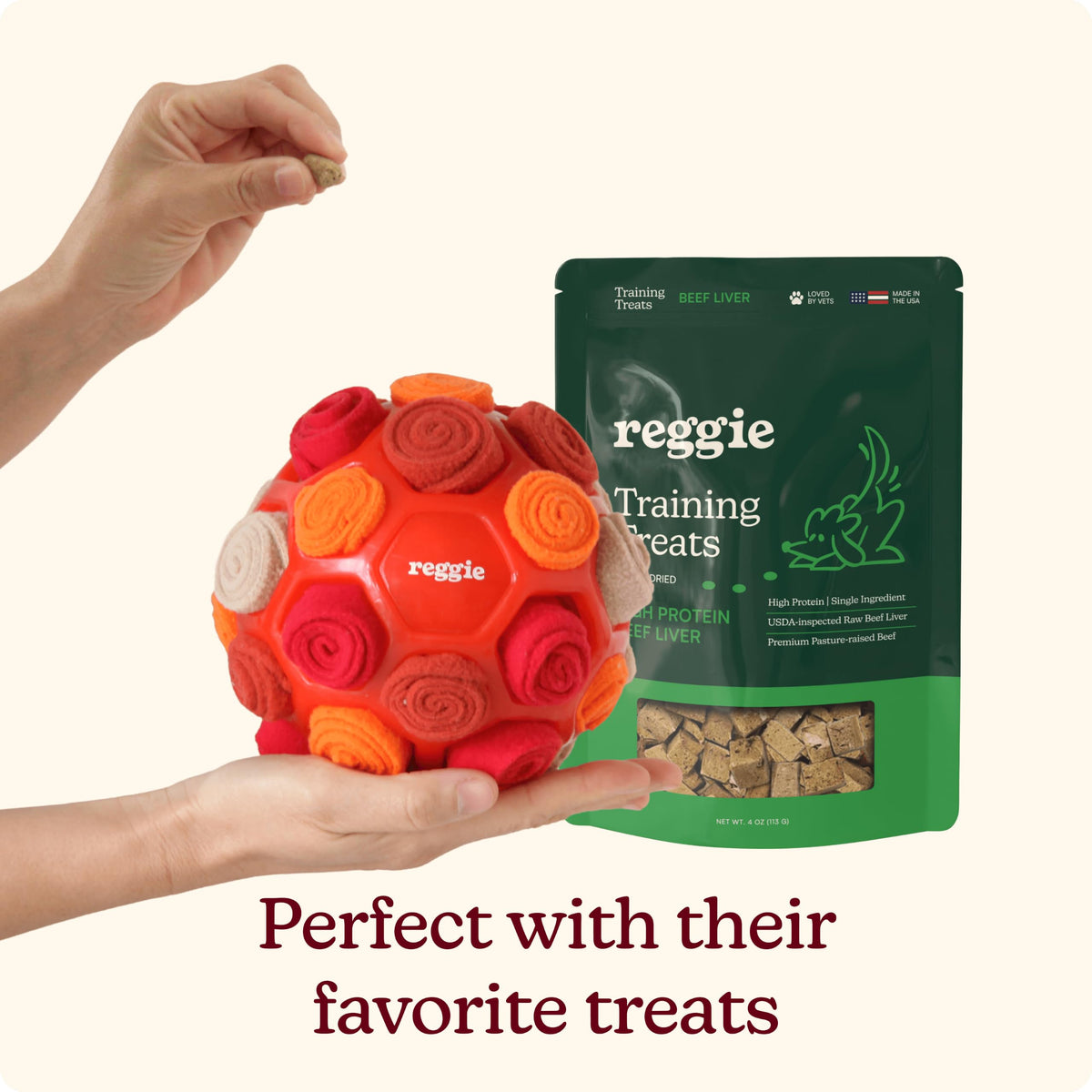 Snuffle Ball for Dogs (Forager Ball - Red)