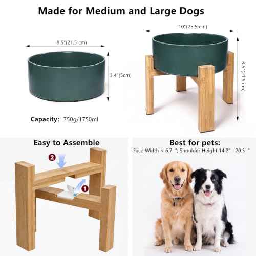 Elevated Ceramic Large Dog Bowl (Large / Green)