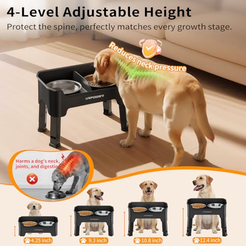 Mess Proof Elevated Dog Bowls (Black / Medium)
