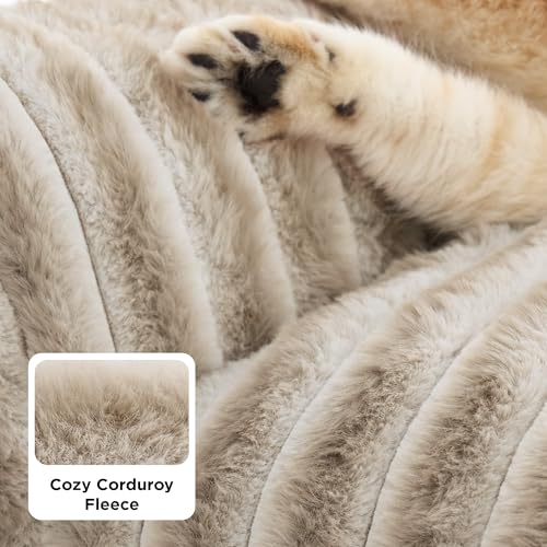 ComfyFleece® Shown on TV Dog Couch for Medium Dogs (36x27x10" / Amphora)
