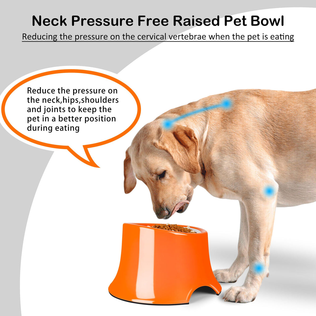 Tilted Elevated Dog Bowls Non (M/2 Cup / Orange)