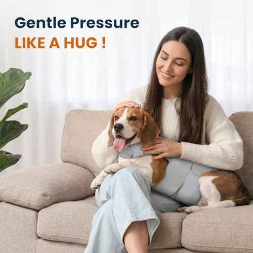 Dog Anxiety Relief Calming Vest (Grey / S)