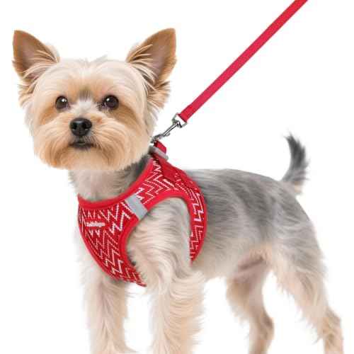 Dog Harness Small Sized and Leash Set (Red Wave / XS (Chest: 13.3"-15.5"))