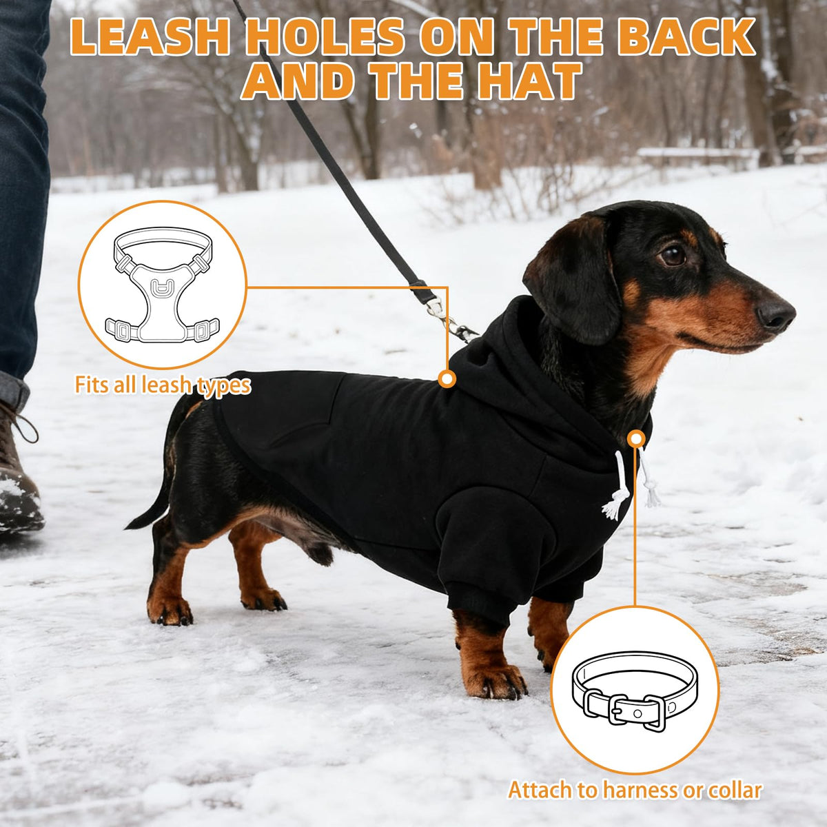 Dachshund Dog Hoodie (Dachshund Black / X-Large)