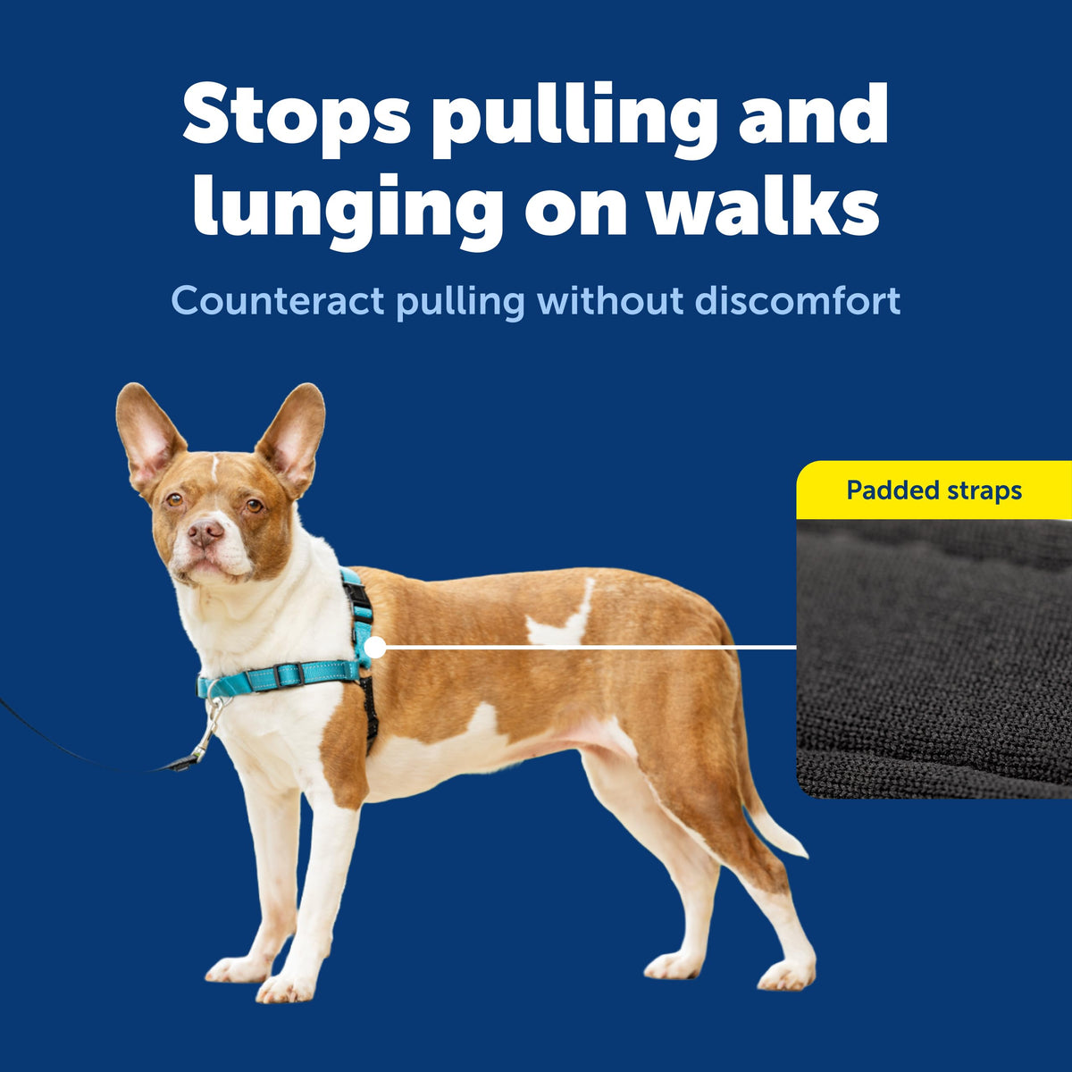 Easy Walk Deluxe Dog Harness (Medium / Ocean)