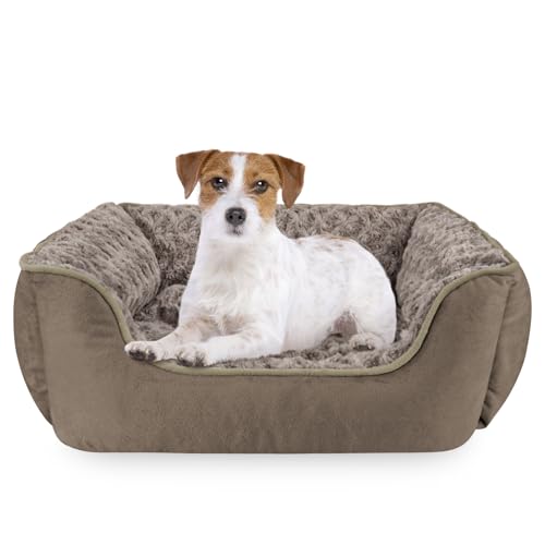 Rectangle Dog Bed for Large Medium Small Dogs Machine Washable Sleeping Dog Sofa Bed Non (Dark Brown / M(25"x 21"x 8"))