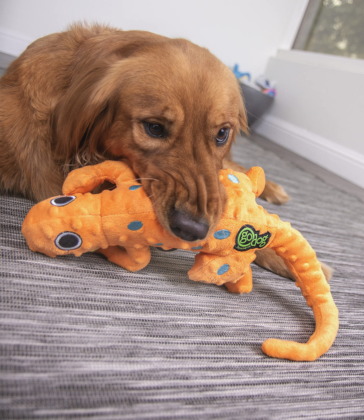 Amphibianz Gecko Squeaky Plush Dog Toy (Amphibianz Gecko (Orange) / Large)