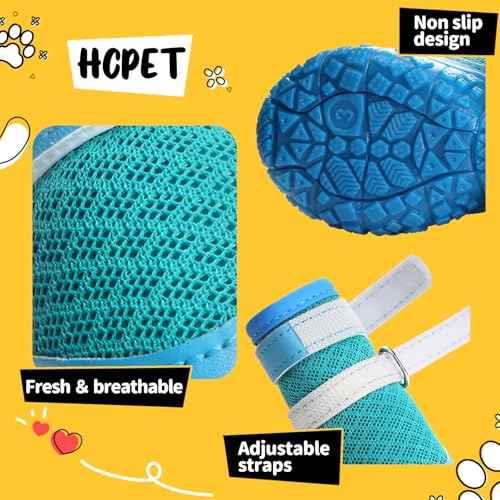 Dog Shoes for Small Dogs (Blue / #3 (Width 1.49 inch) for 11.0-16.5 lbs)
