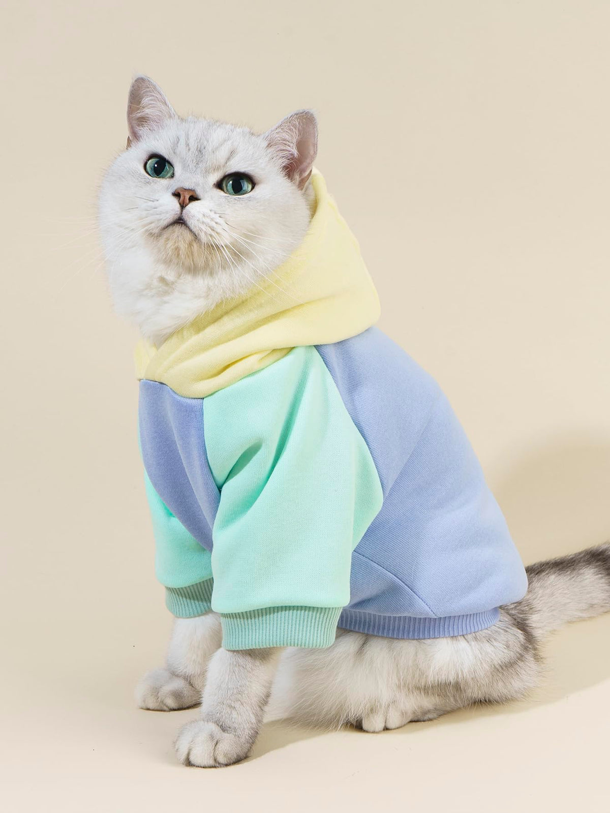 Basic Dog Hoodie Sweatshirt Puppy Sweater Warm Cat Costumes Pet Clothes for Chihuahua Puppy Kitten Small Medium Dogs Yellow and Blue X (X-Small / Yellow and Blue)