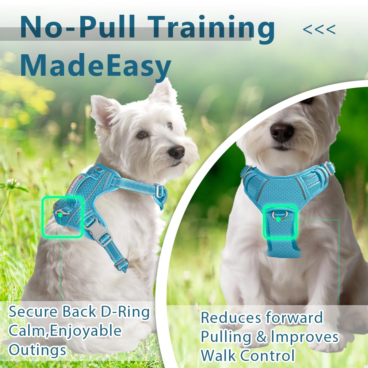 No Pull Dog Harness for Small Sized Dogs (Ocean Blue / X-Small(Chest:14.6-19.6”))
