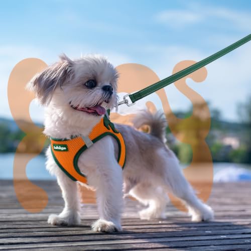 Dog Harness Small Sized and Leash Set (Orange & Dark Green / S (Chest: 15.1"-16.5"))