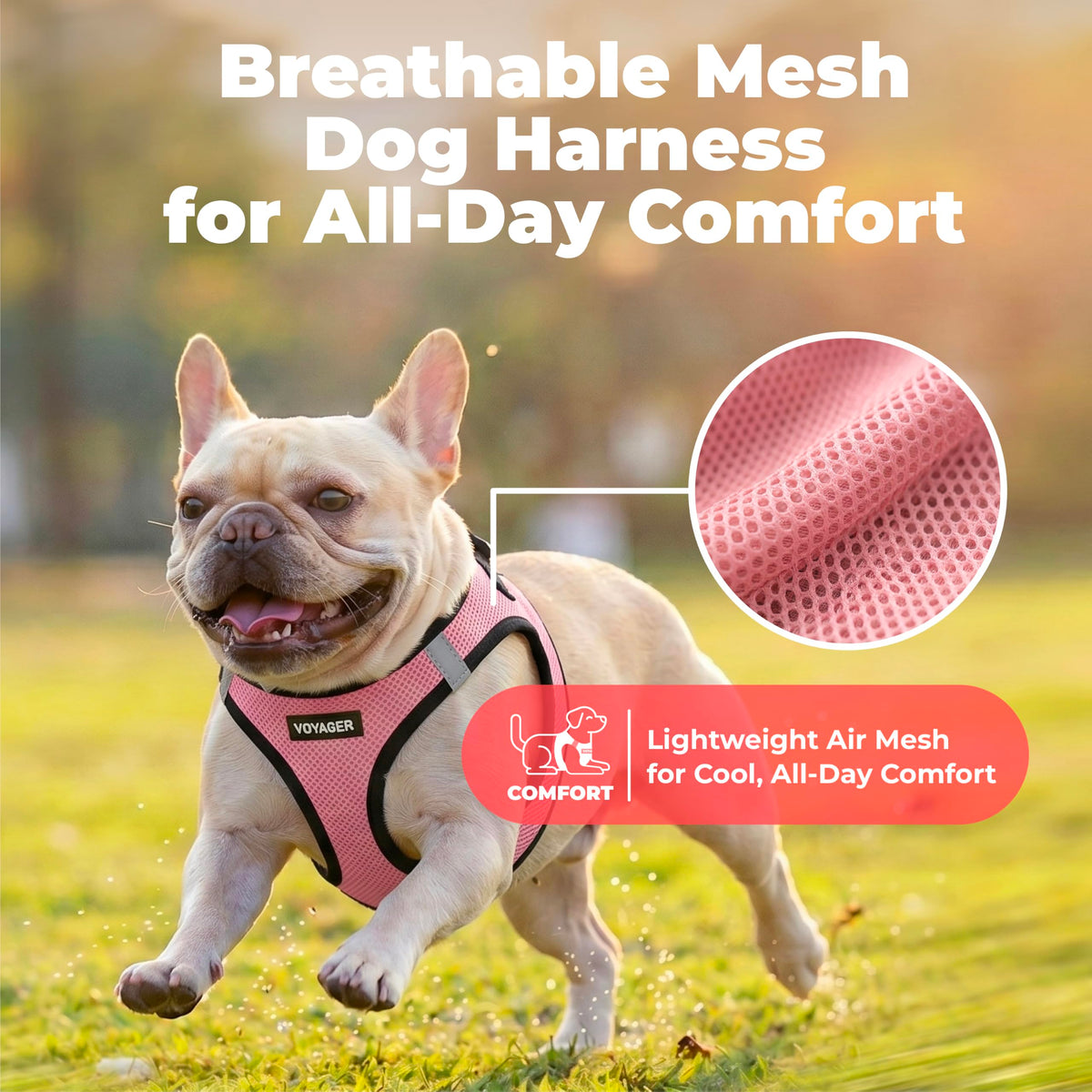 Voyager Step in Air Dog Vest Harness (Pink/Black Trim / XS (Chest: 13 - 14.5"))