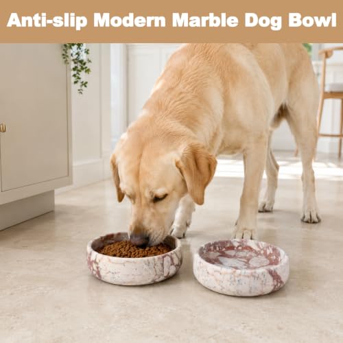 Calacatta Marble Dog Bowl (Calacatta Large)