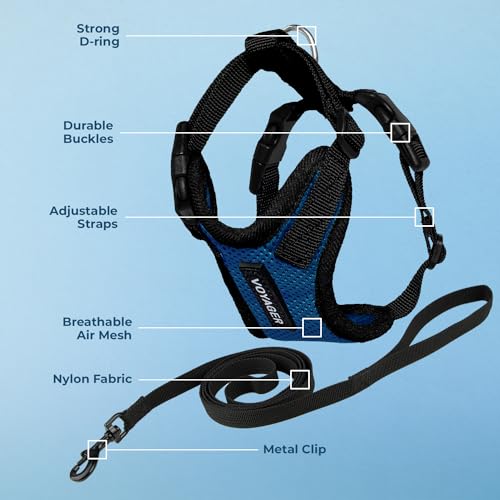 Voyager Step in Lock Cat Harness & Leash Set (Royal Blue/Black Trim / S (Chest: 15 - 18"))