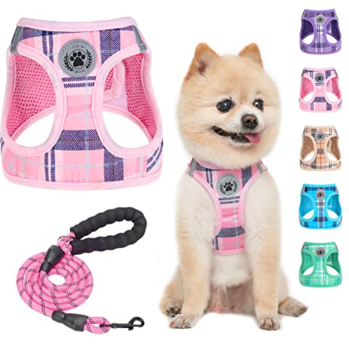Small Dog Harness and Leash Set (Small(Chest Girth 14.5" - 16") / Pink)