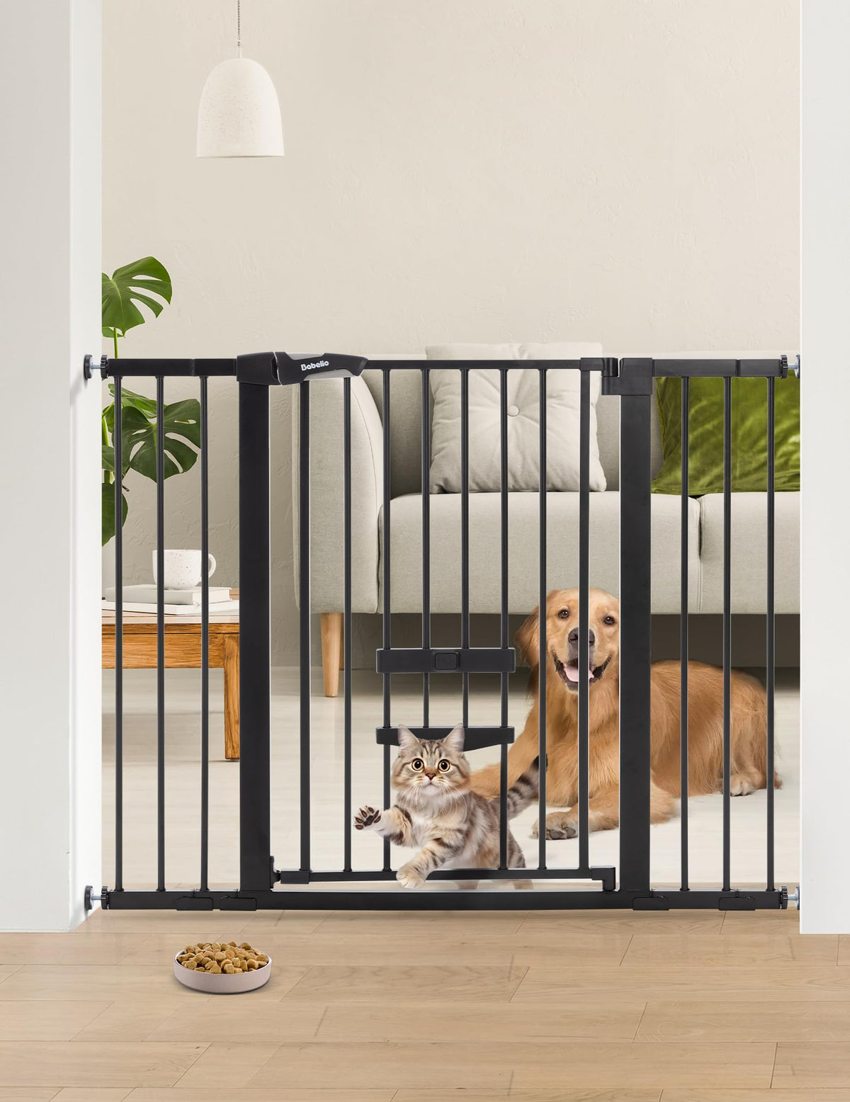36" Tall Dog Gate with Cat Door (Black / 29-48" Wide, 36" Tall)