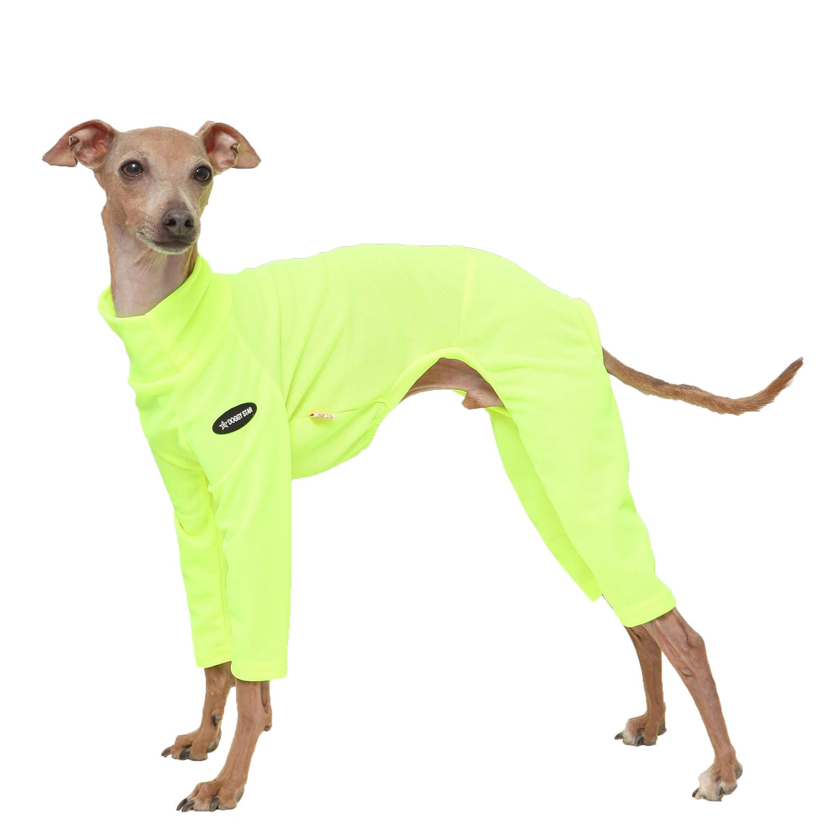 D Doggy Star Italian Greyhound Clothes Stretchy Neon Onesie Spring Summer (2XL / Onsi Ne Yellow)