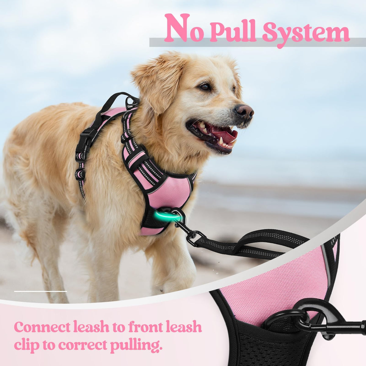 Dog Harness No Pull with 2 Leash Clips (X-Large / Pink)