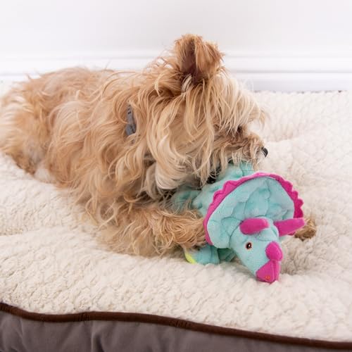 Dinos Frills Squeaky Plush Dog Toy with Chew Guard Technology (Dinos Frills (Teal) / Small)