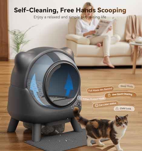 Automatic Litter Box