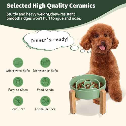 Elevated Slow Feeder Dog Bowl (Green / 1.5 Cups)