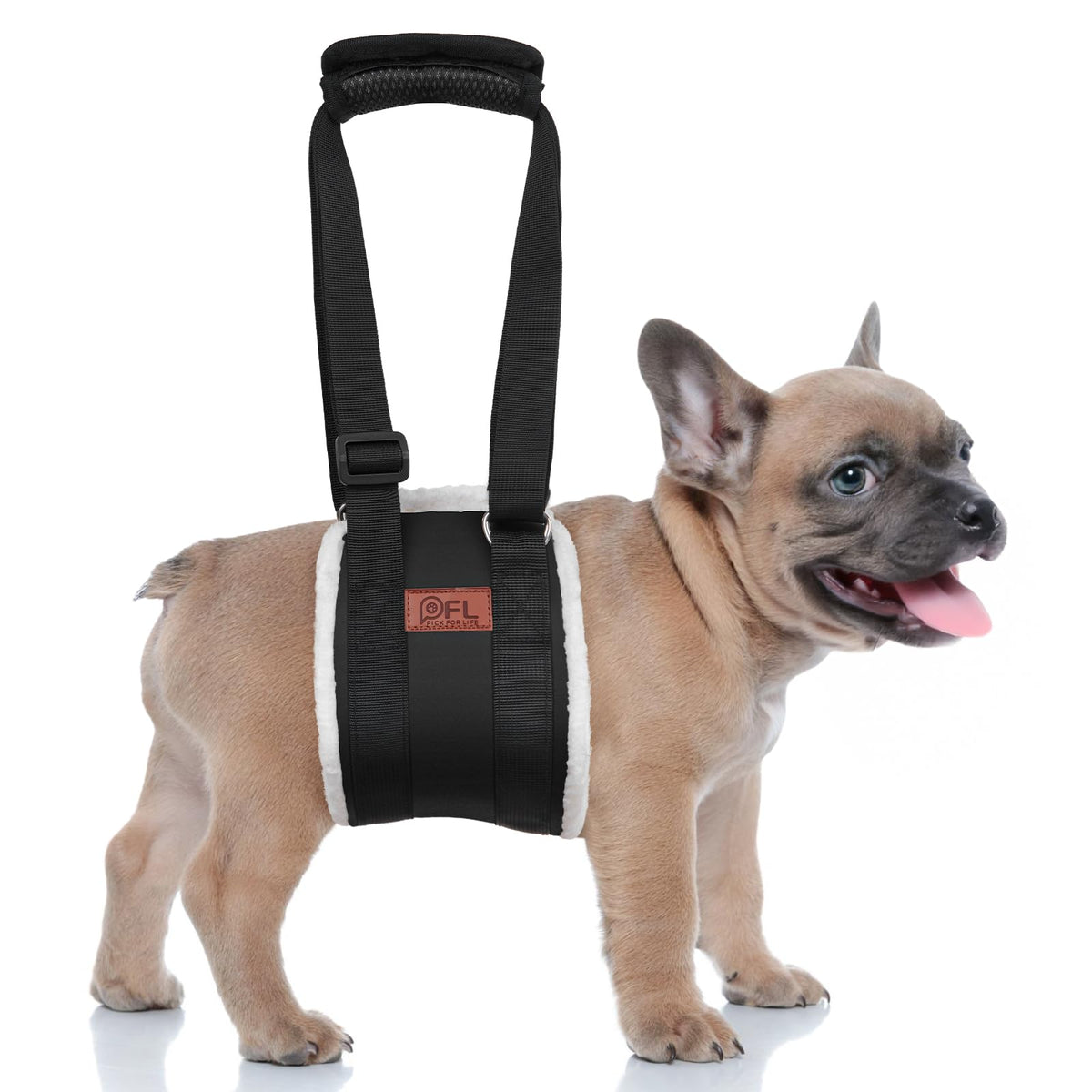 Adjustable Dog Lift Harness for Small Dogs Hind Leg Support Weak Legs Aid (Black / Small)