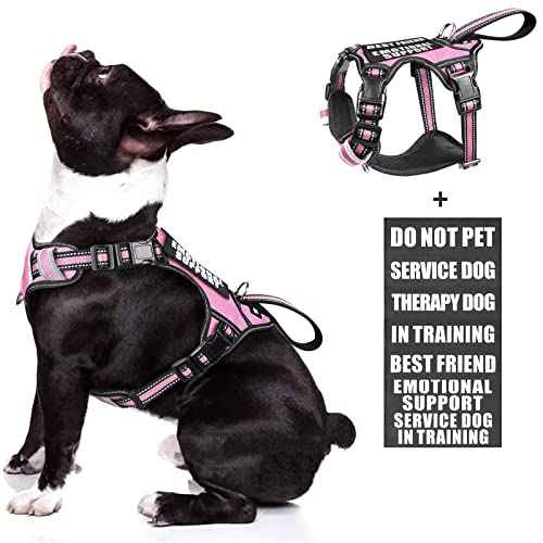 Service Dog Vest No Pull Dog Harness with 7 Dog Patches (Medium / Pink)
