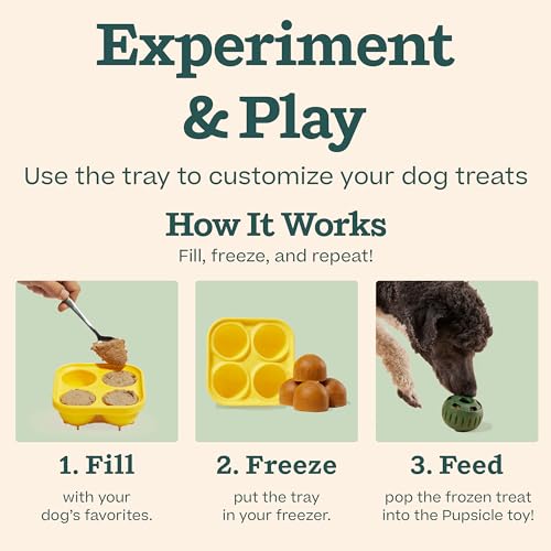 Starter Pack Dog Treat Toy for Large Dogs 25 (Large Starter Pack)