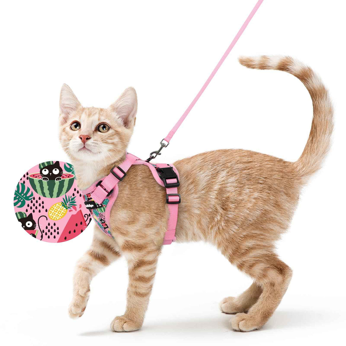 Cat Harness and Leash Set (S / Melon Munch)
