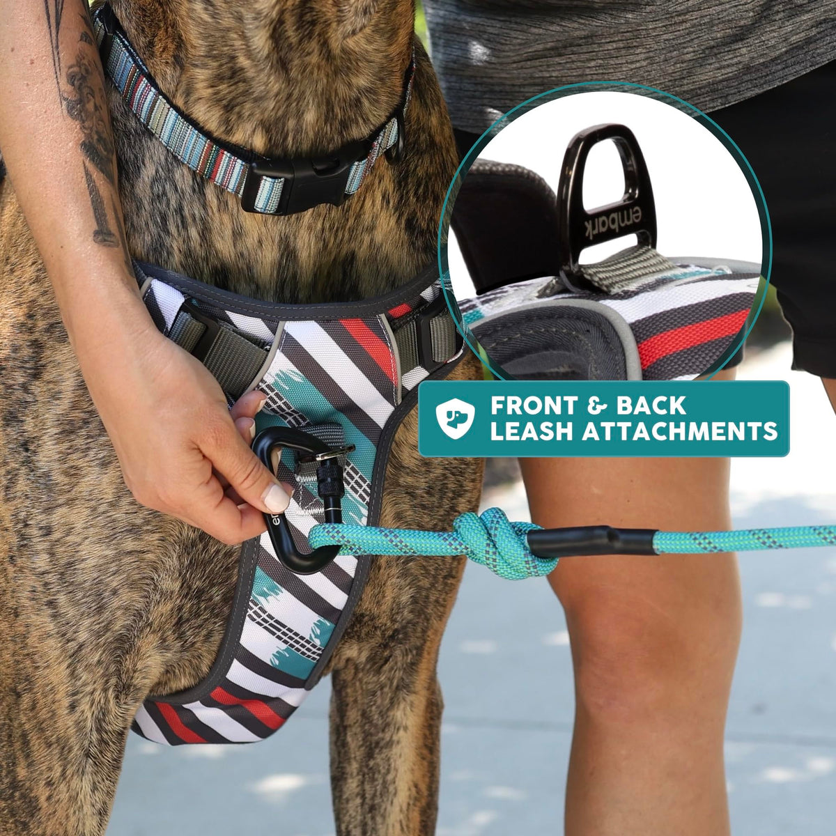 Embark No Pull Dog Harness (XL / Maverick)