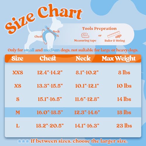 Dog Harness Small Sized and Leash Set (Blue & Orange / M (Chest: 16.0"-18.5"))