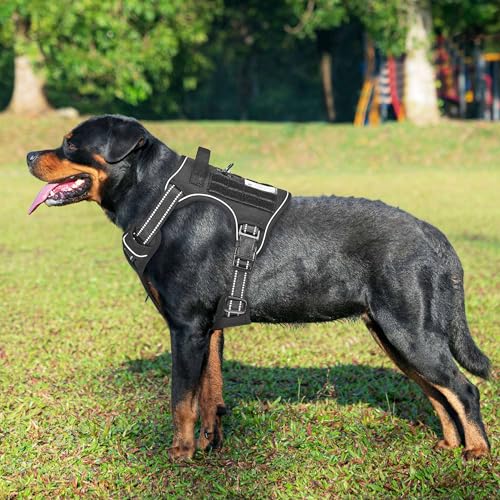 Tactical No Pull Dog Harness with Leash (Black / Large)