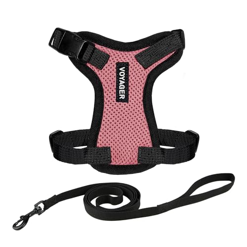 Voyager Step in Lock Cat Harness & Leash Set (Pink/Black Trim / XXXS (Chest: 10.5 - 13"))