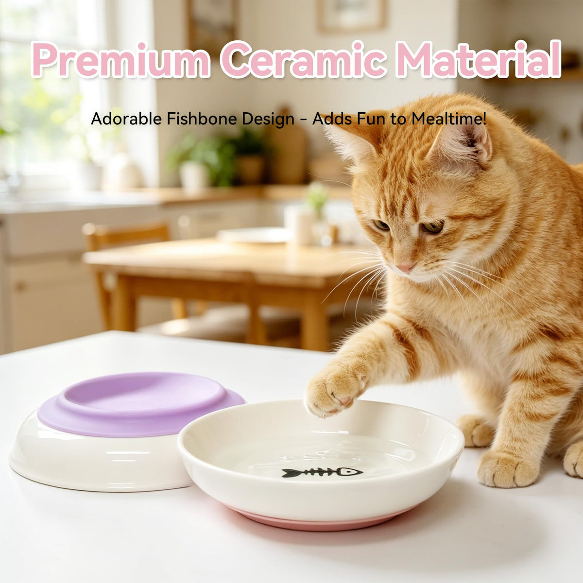 4 Pack Ceramic Cat Bowls with Silicone Base