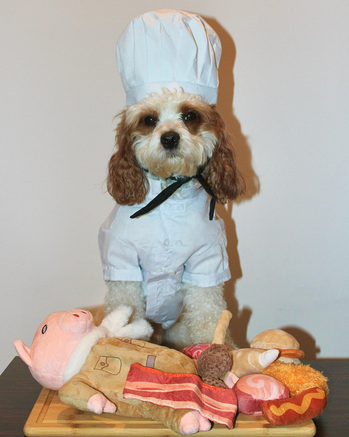 Stuffed Pig Dog Toys (Pilot Pig)